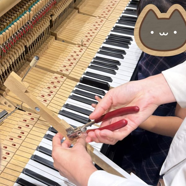 実際に道具を使います！
