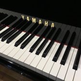 ～ご成約済～YAMAHA/ヤマハ：C3SN～中古グランドピアノ展示情報～