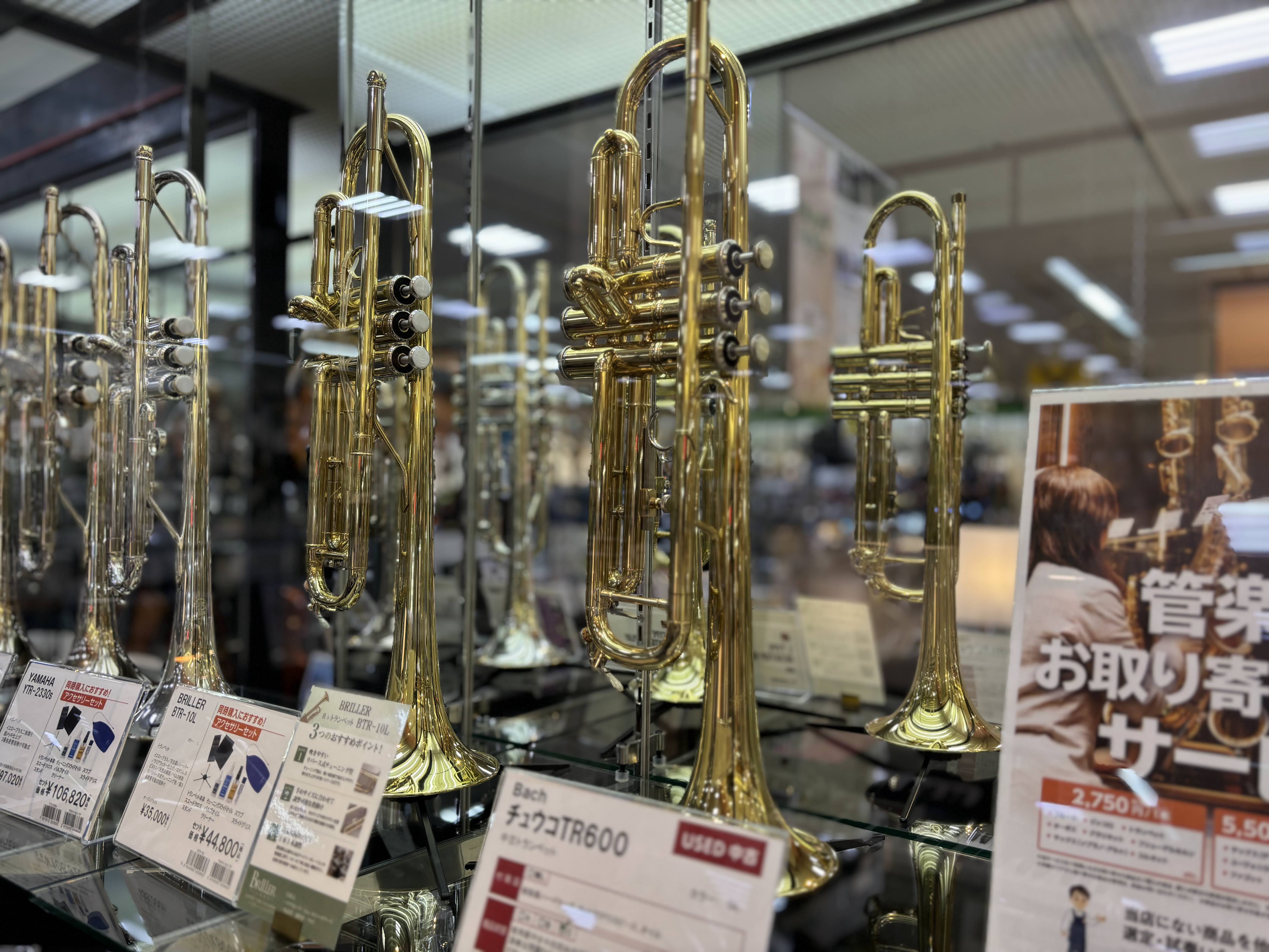 中古トランペットV.Bach TR-600 GL Bb管