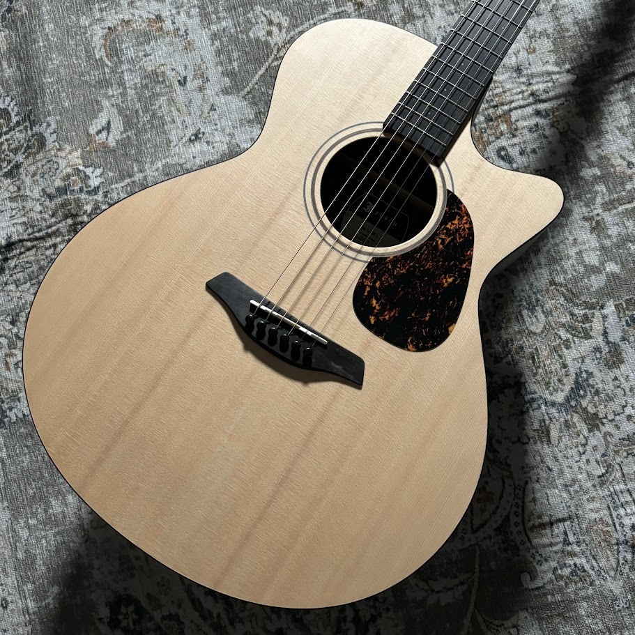 アコースティックギターFurch Blue Gc-SW a