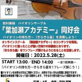 バイオリン初心者サークル「葉加瀬アカデミー同好会」5月28日開催！