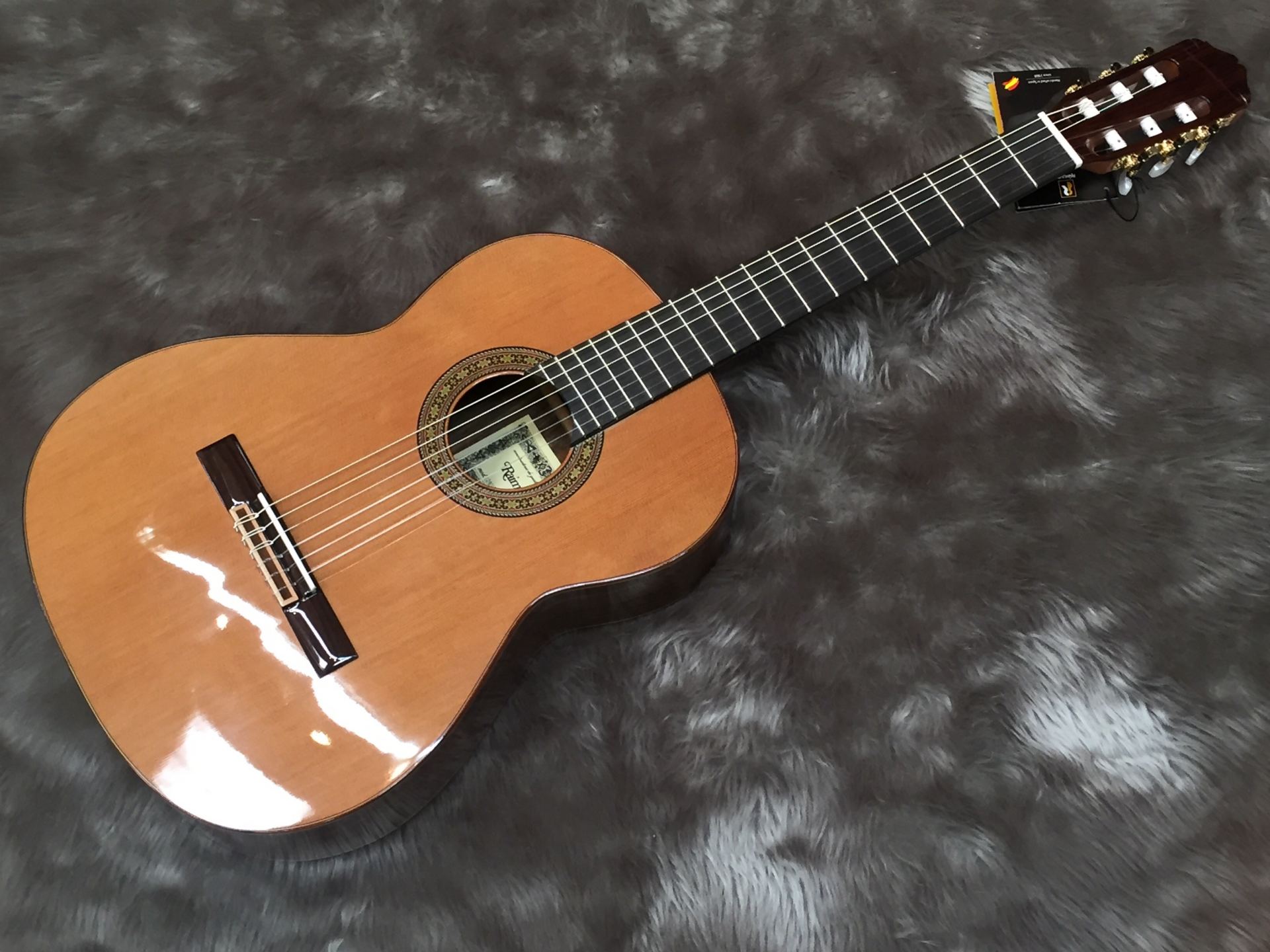 Frontere（フロンテーラ) FGC-300S クラシックギター - 弦楽器、ギター