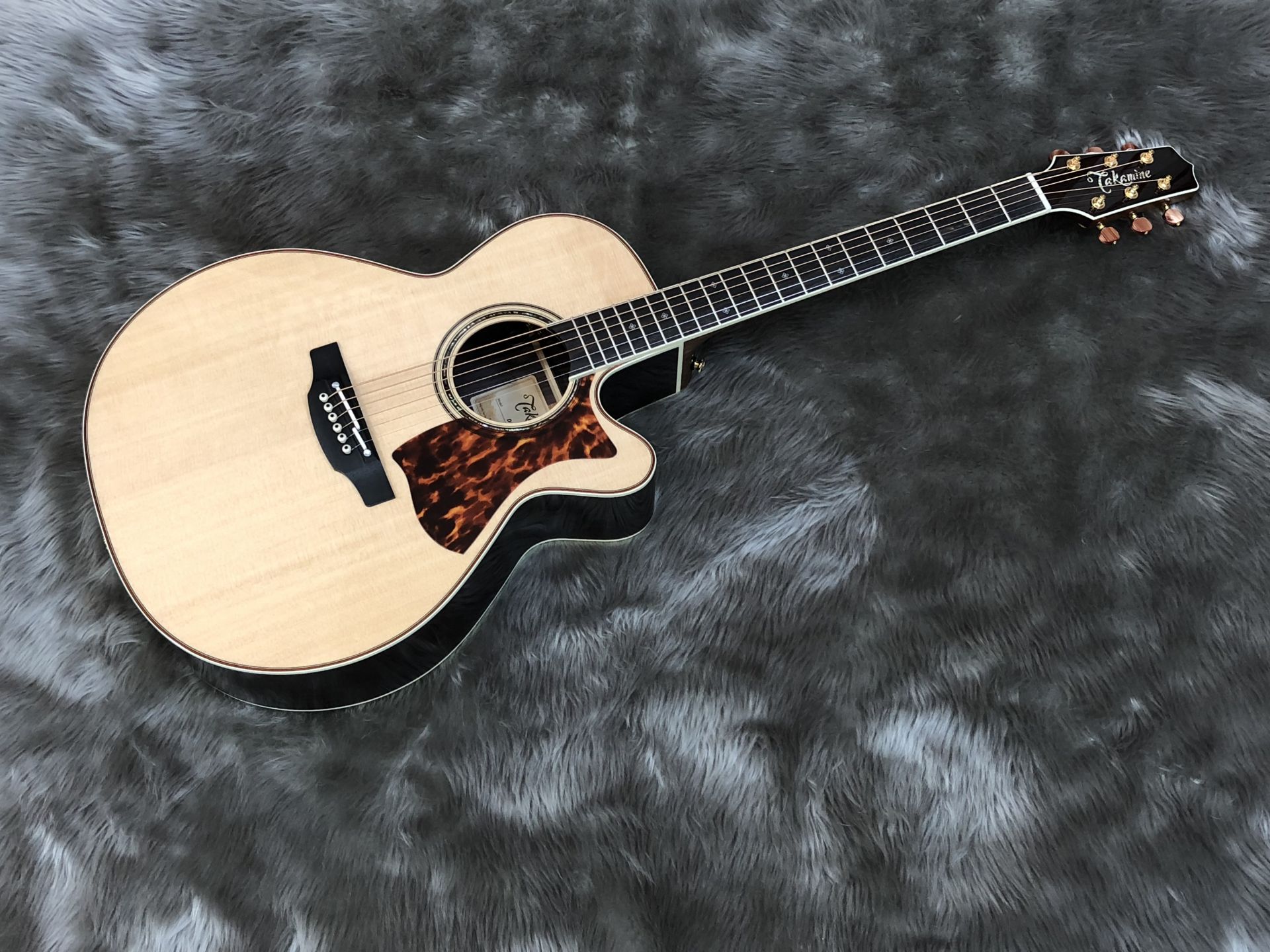 【新入荷情報】Takamine Taylor アコースティックギター