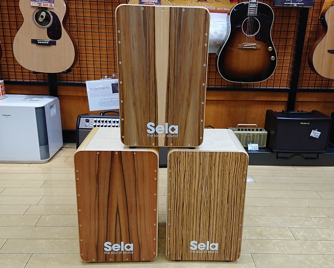 【Made in Germany】Selaカホン入荷
