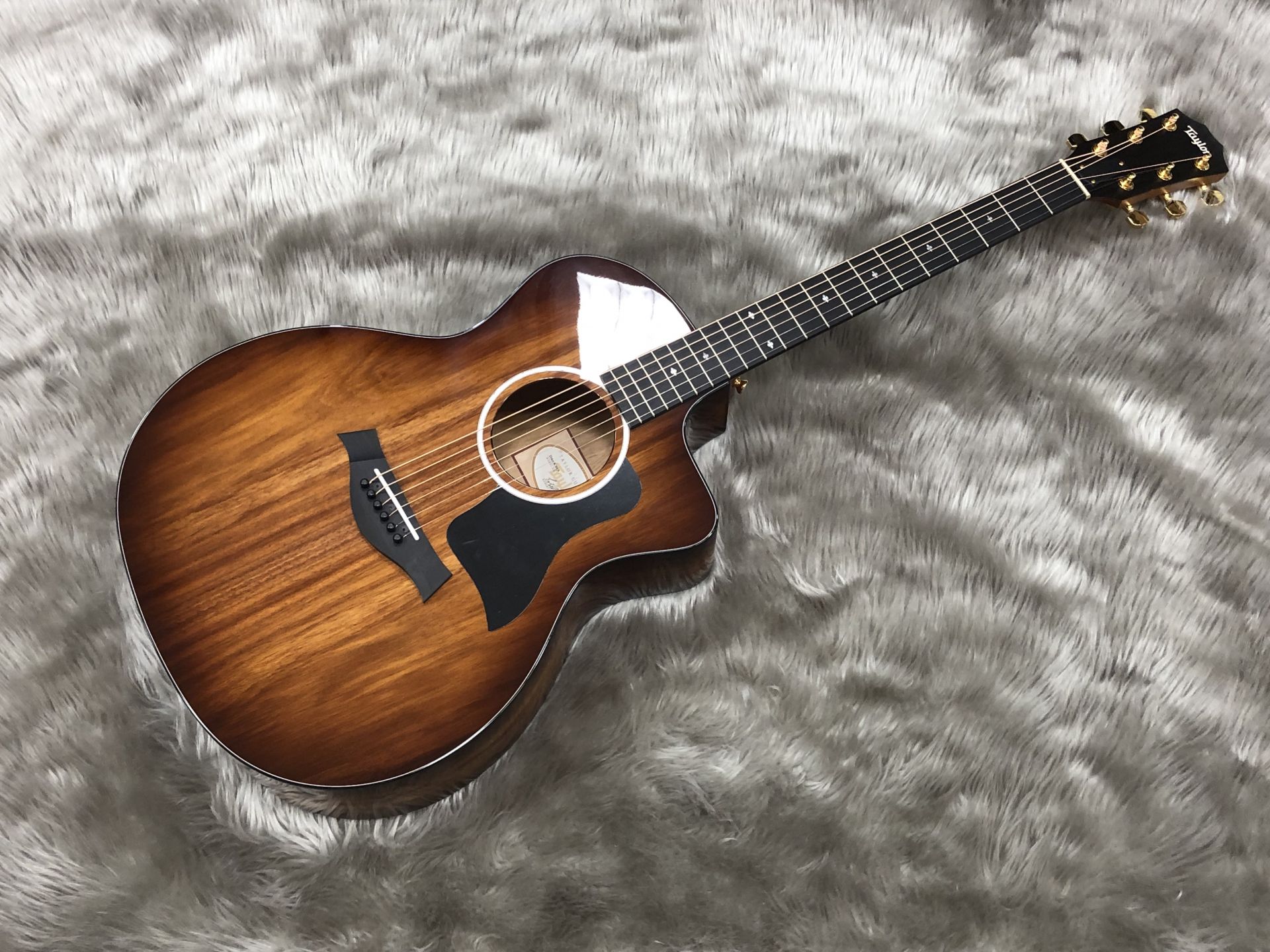 【新着入荷情報】Taylorアコースティックギターが入荷しました！【アコースティックギター】