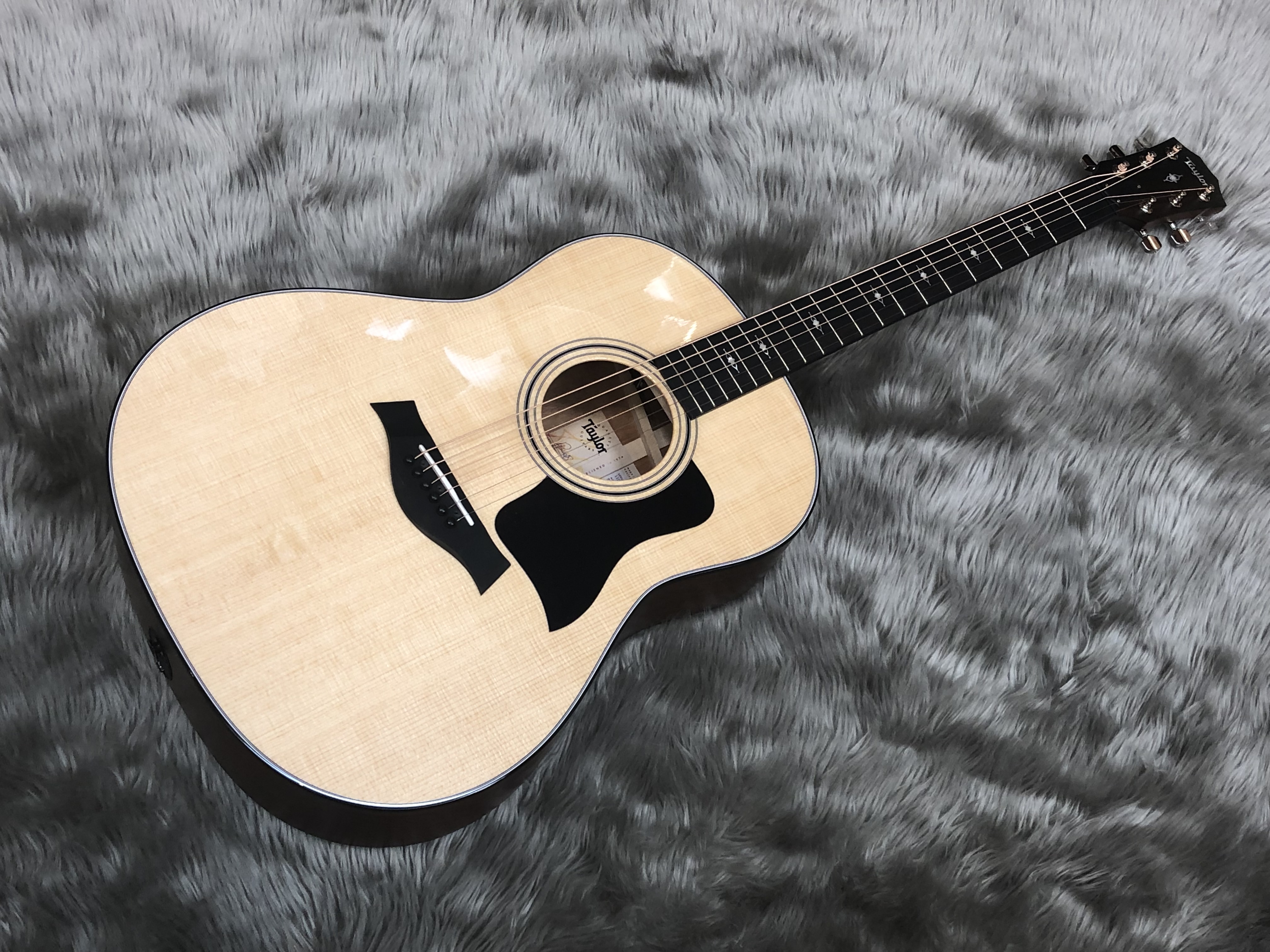 【新着入荷情報】Taylor 新モデル　317が入荷しました！【アコースティックギター】