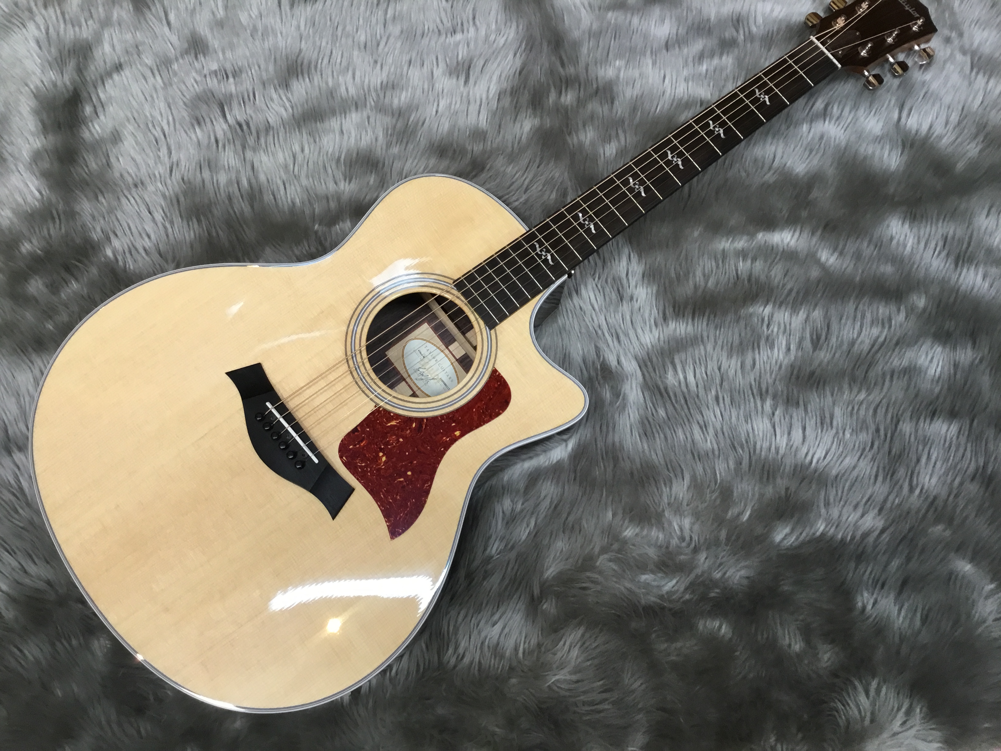 【年末年始限定！】Taylor人気モデルが特別価格！