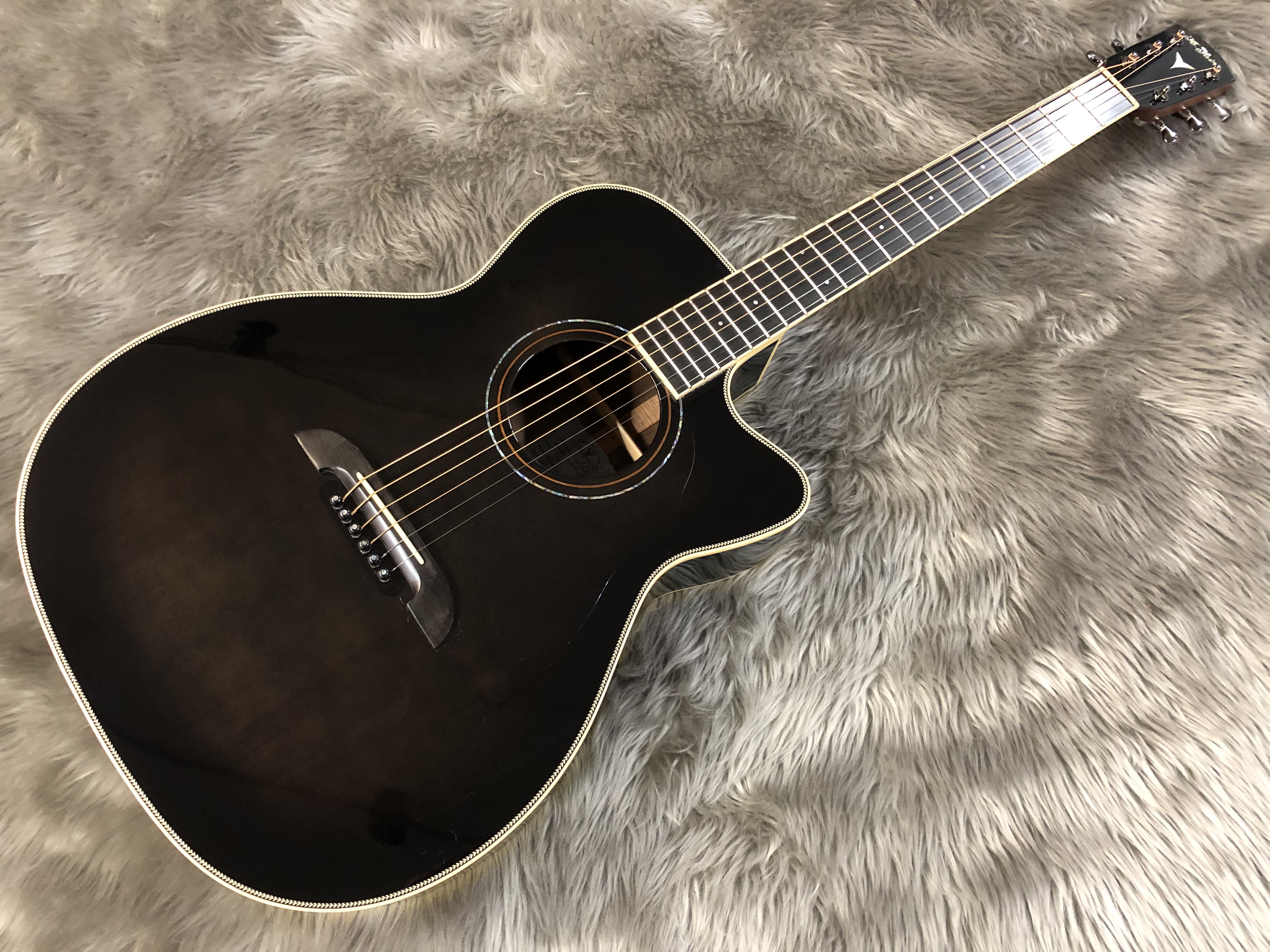 K.Yairi / SWY-RO1 入荷しました！【島村楽器限定モデル】