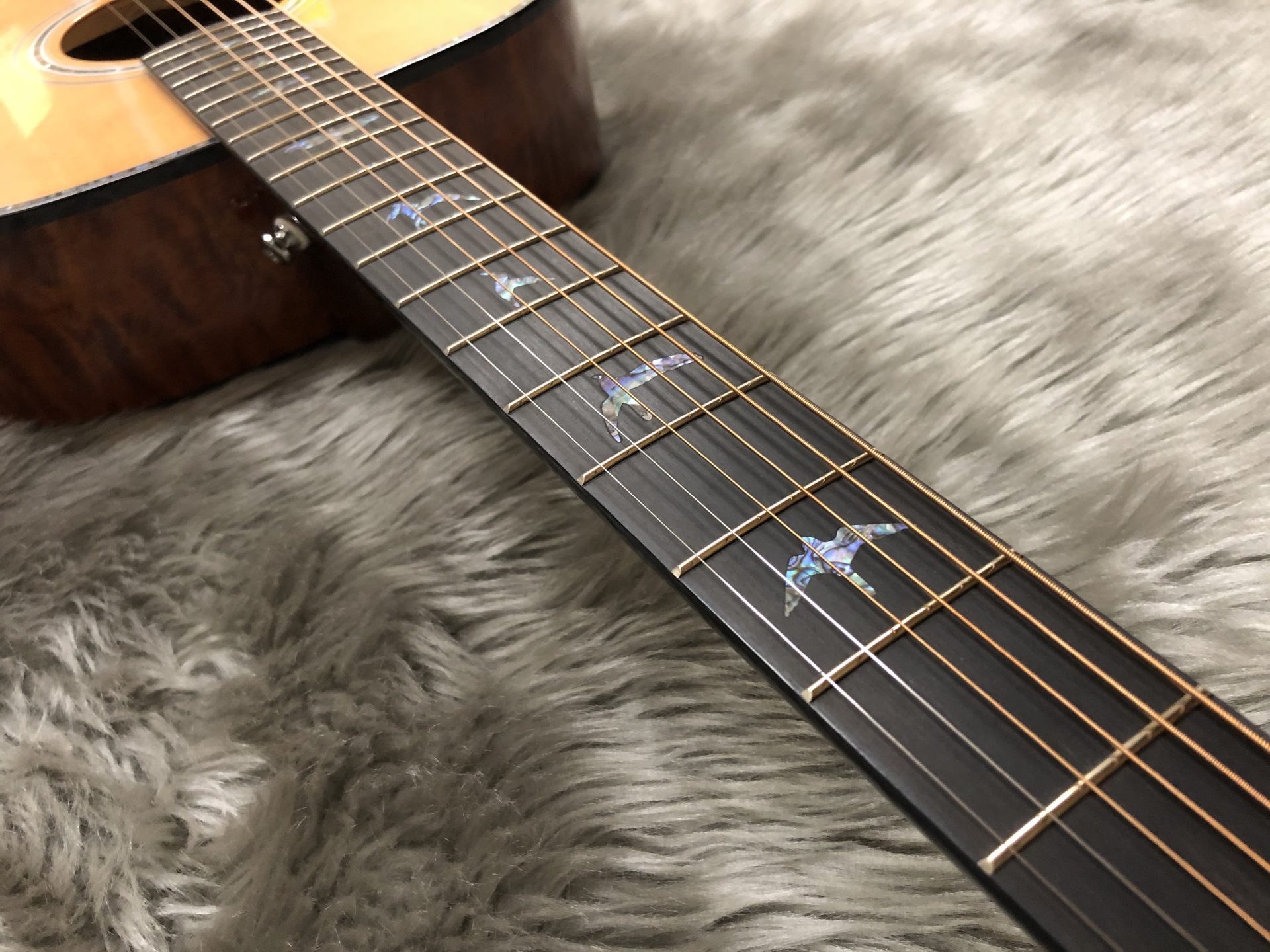 PRS / SE AC T55E＆A50E 入荷しました！