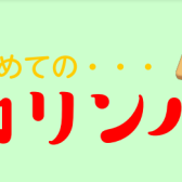 【第4回】初めての♪カリンバ弾き方セミナー