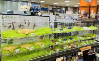 優しい音色を楽しめるオカリナを始めてみませんか？【札幌平岡店オカリナ総合ページ】