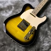 Fender RITCHIE KOTZEN TELE入荷しました！