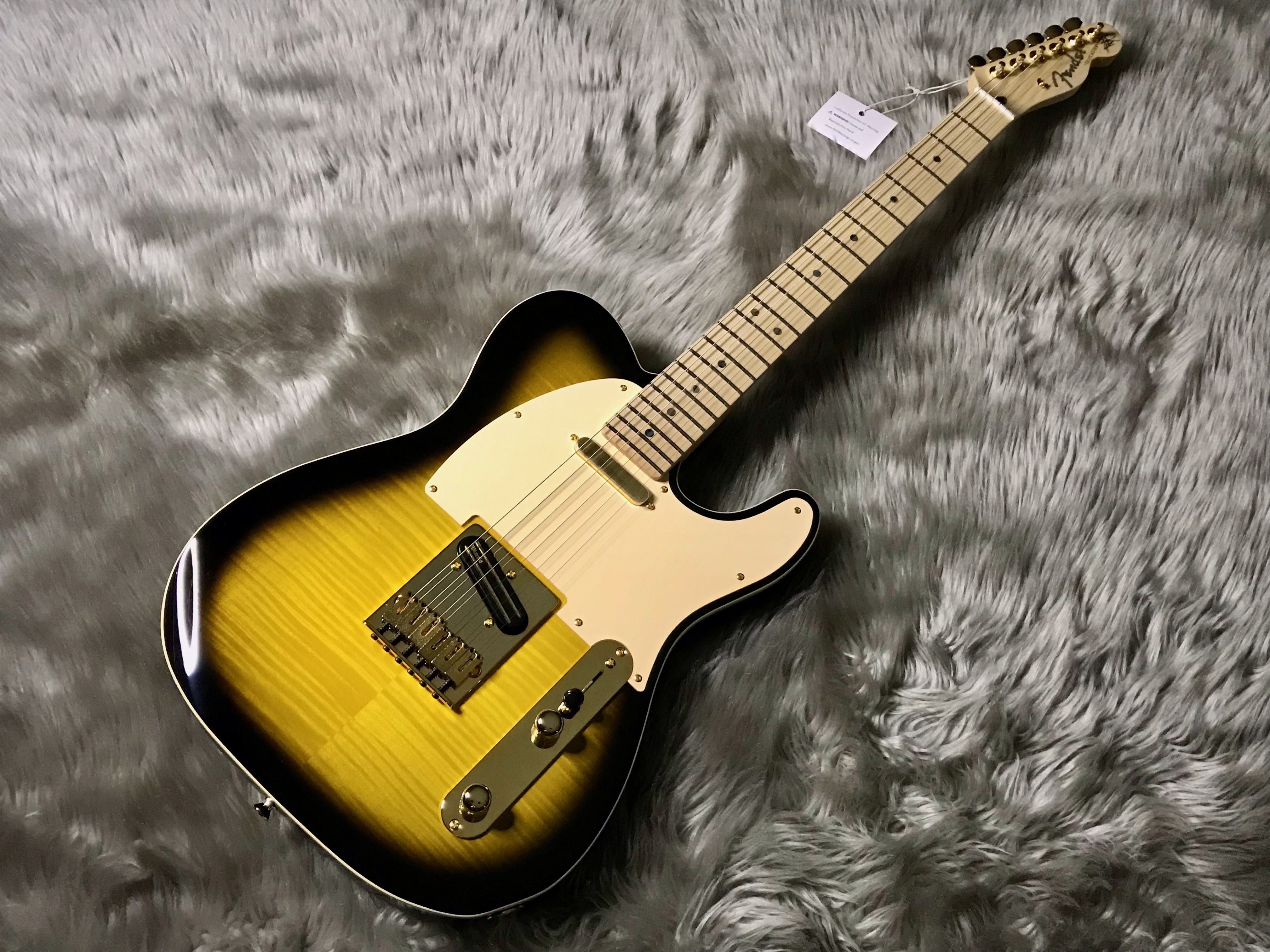 エレキギターFender RITCHIE KOTZEN TELE