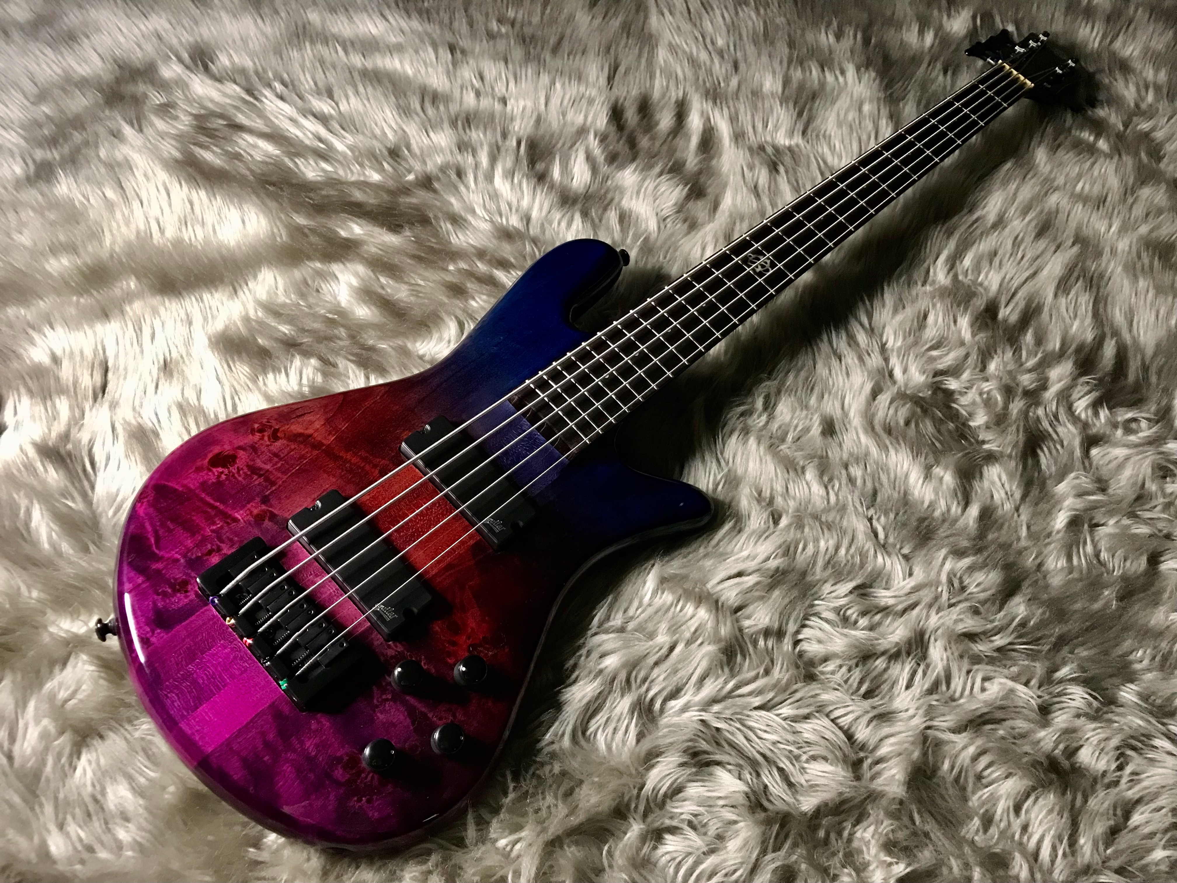 エレキベースNS ETHOS 5 Gloss（INT））