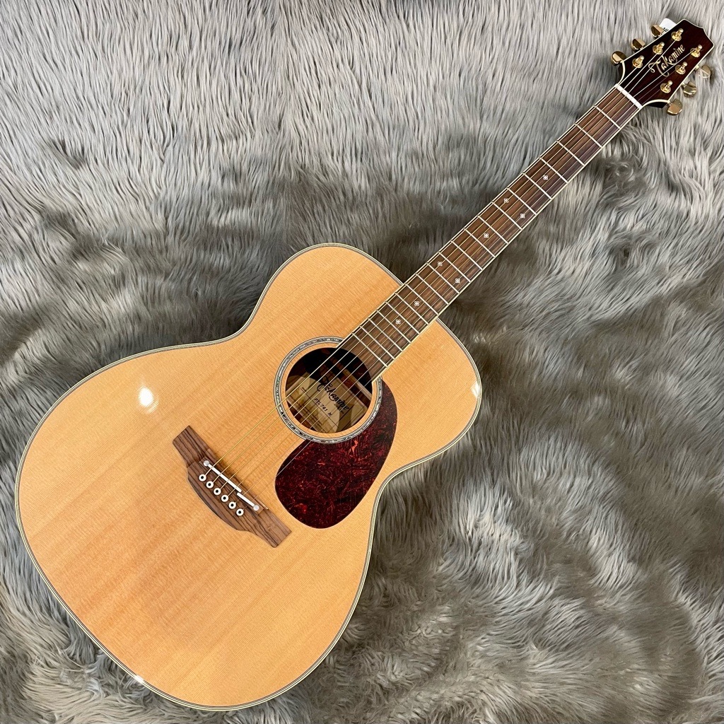 TakaminePTU741 N