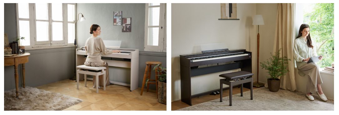 CASIOAP-S2500GP
