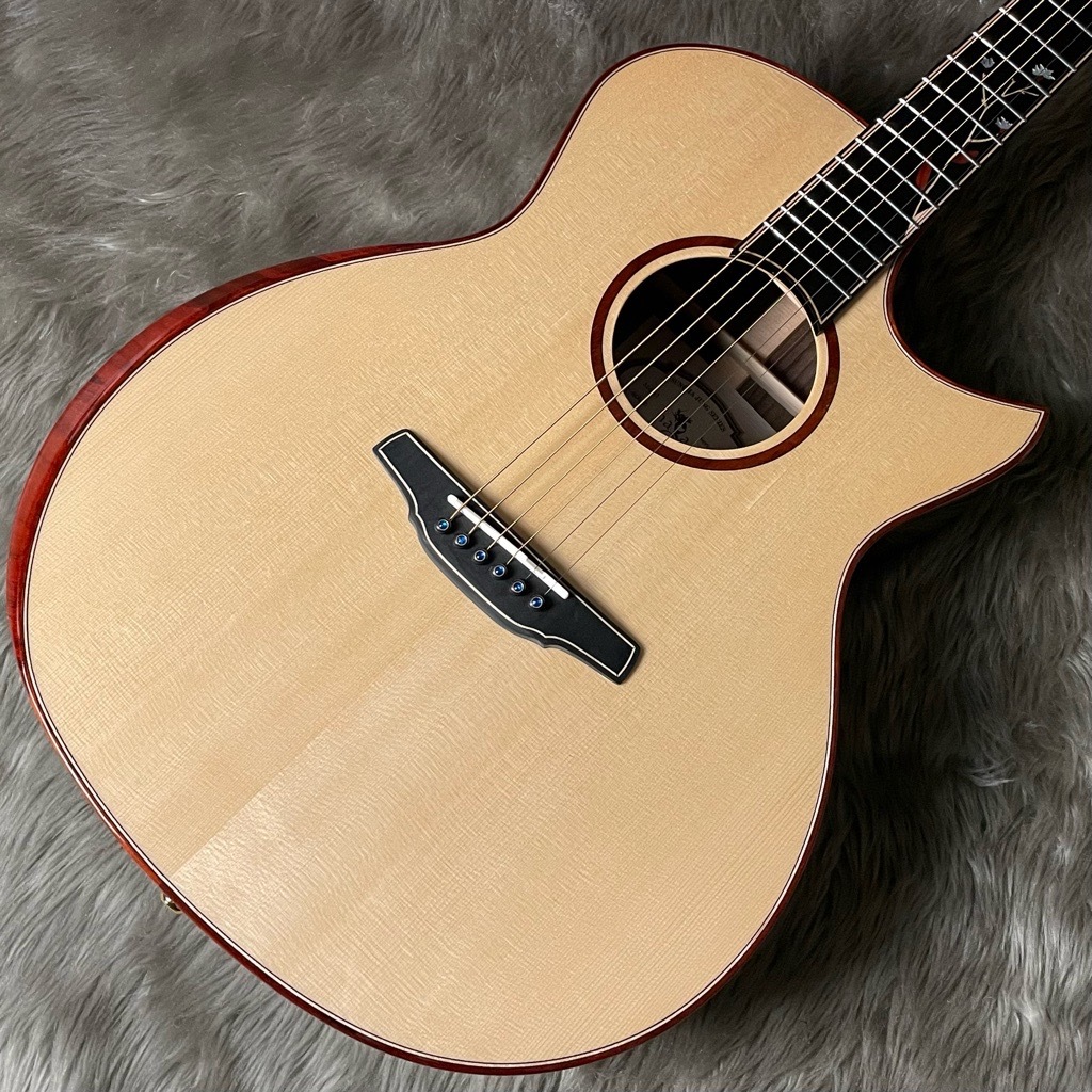 アコースティックギターS-80GACAS