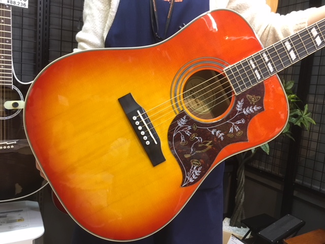 Epiphone HUMMINGBIRD PRO