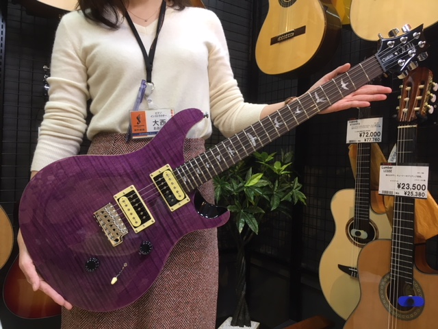 PAUL REED SMITH SE CUSTOM 24