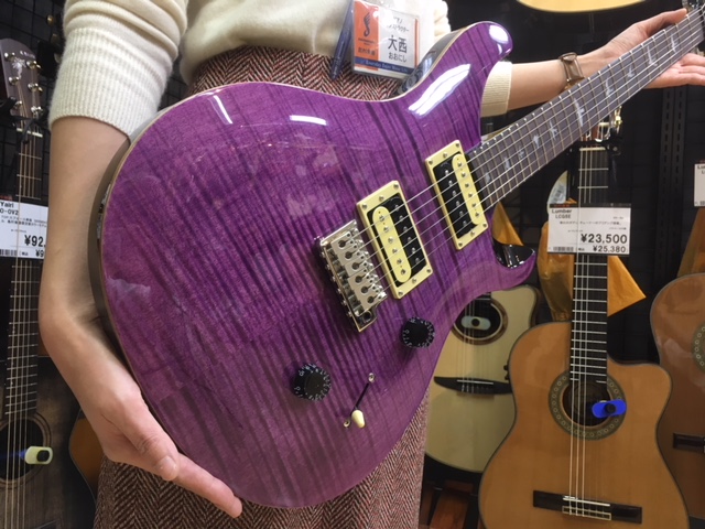 PAUL REED SMITH SE CUSTOM 24