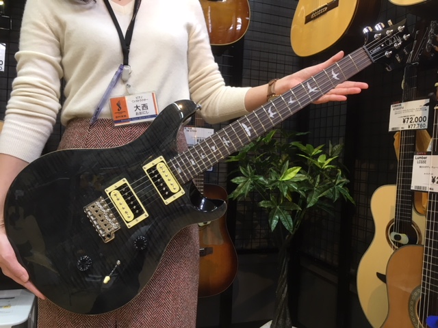 PAUL REED SMITH SE CUSTOM 24