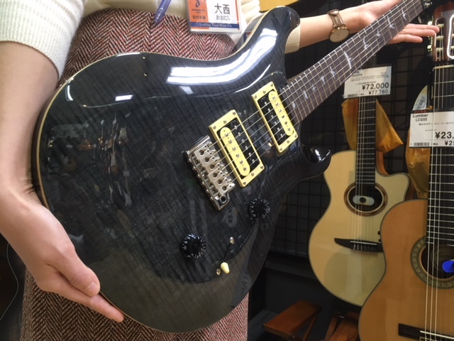 PAUL REED SMITH SE CUSTOM 24