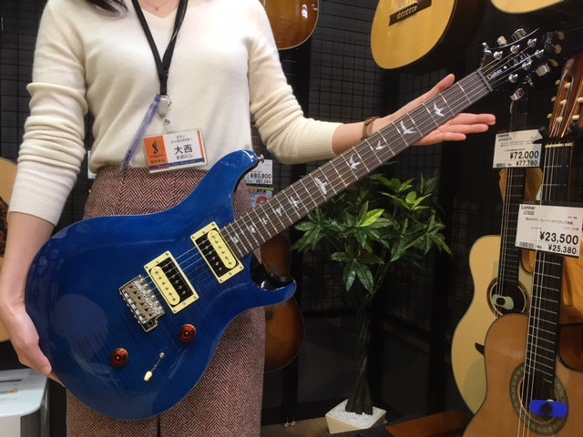 PAUL REED SMITH SE CUSTOM 24