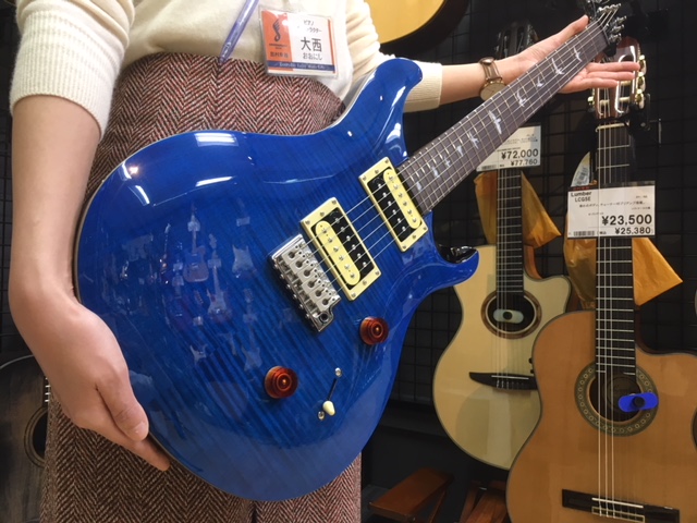 PAUL REED SMITH SE CUSTOM 24