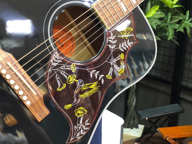 Gibson Hummingbird Ebony