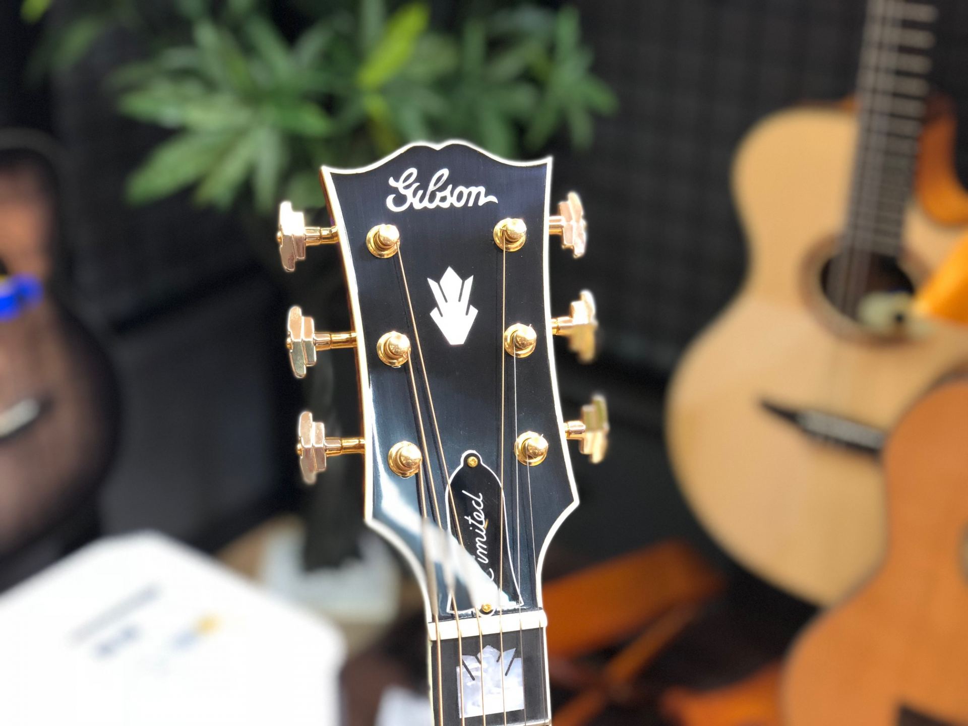 GIBSON SJ-200 Birdseye