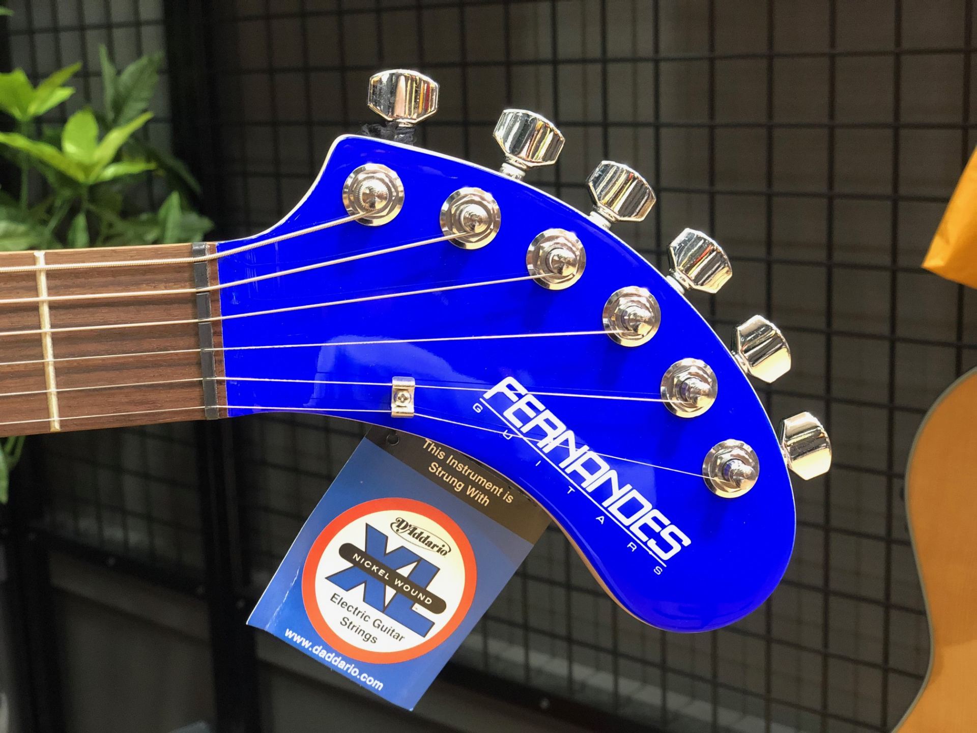 FERNANDES ZO-3