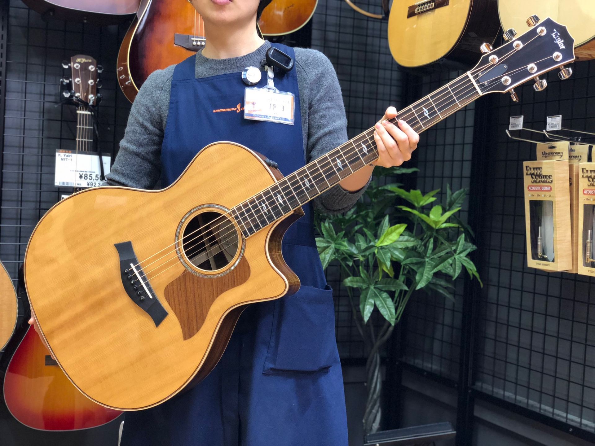 *Taylor 続々入荷しています！ ***814ce ES2 |*ブランド|*品番|*定価]]（税込）|*販売価格]]（税込）| |Taylor|814ce ES2|￥675,000|[!￥540,000!]| ***614ce ES2 |*ブランド|*品番|*定価]]（税込）|*販売価格]]（税 […]