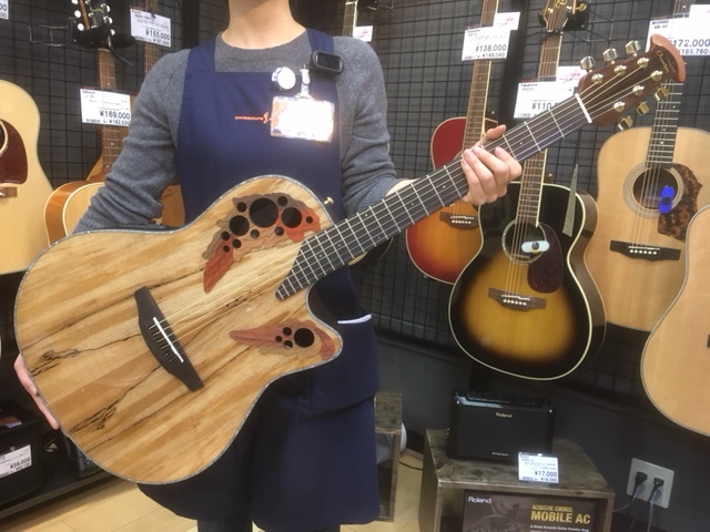 【新着入荷情報】Ovation Celebrity CE44P スポルテッドメイプル入荷しました。