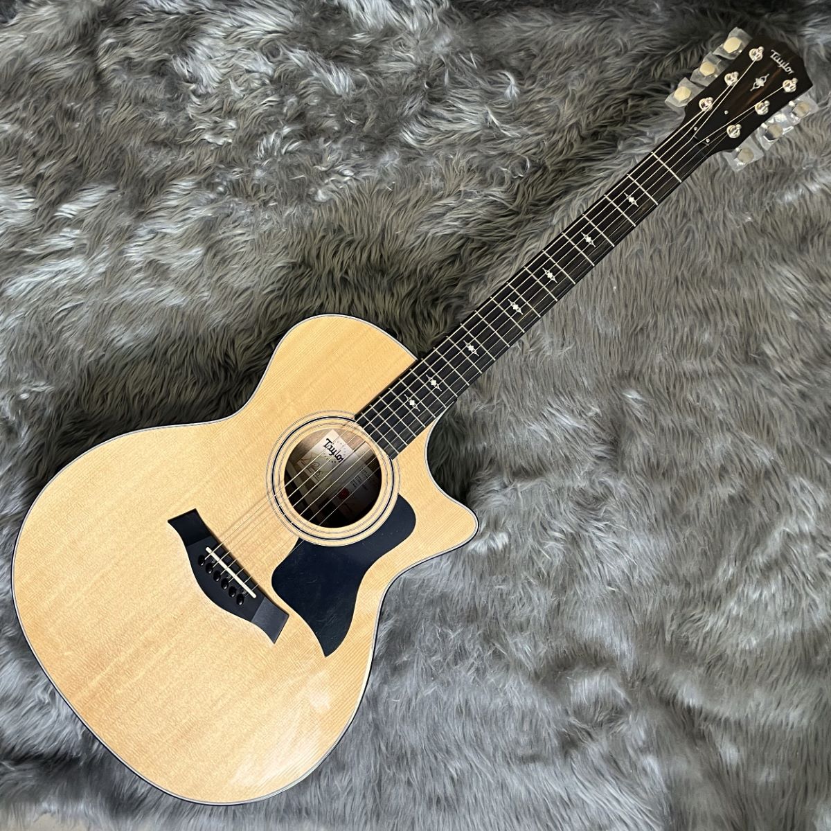 アコースティックギターTaylor 314ce V-Class