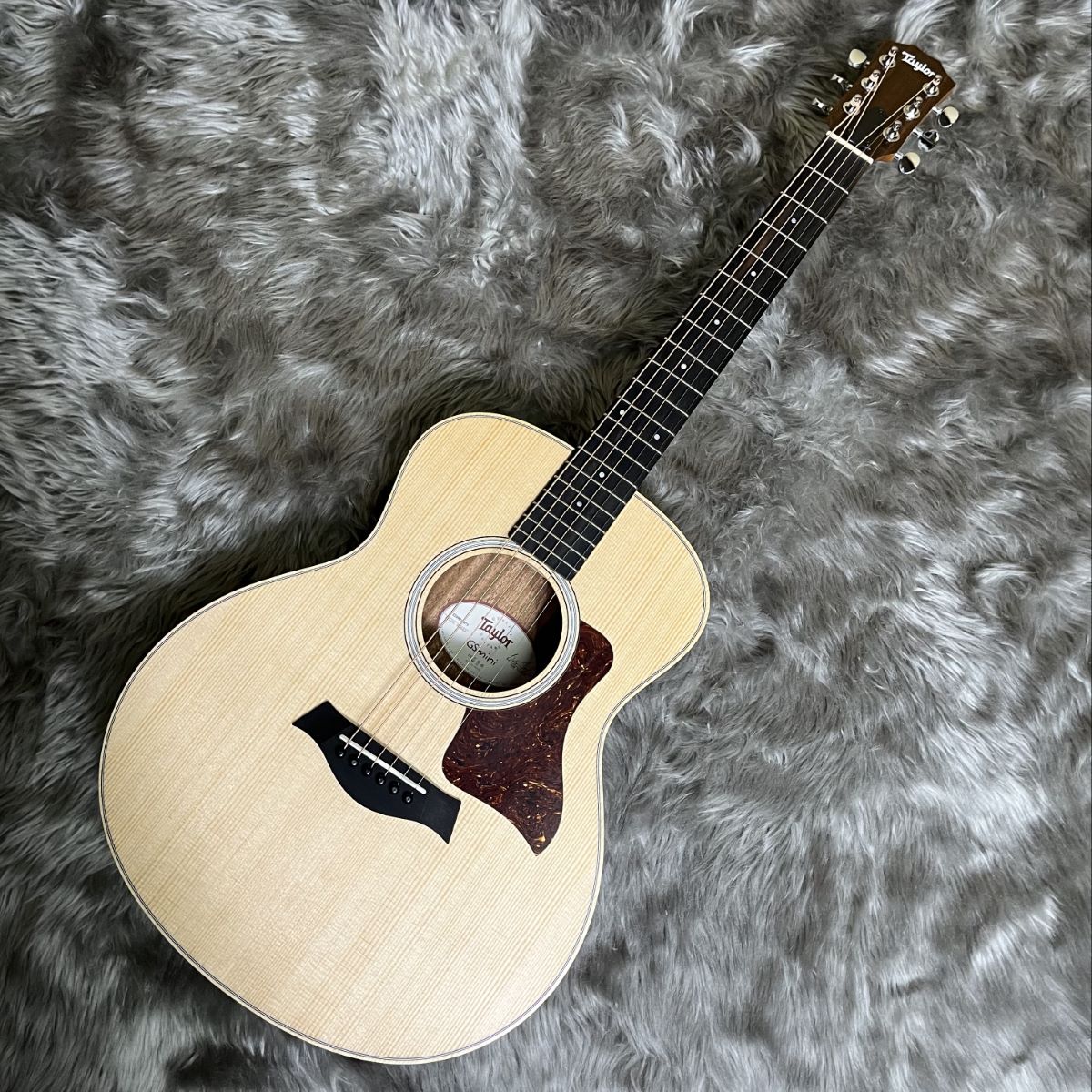 アコースティックギターTaylor GS Mini Rosewood