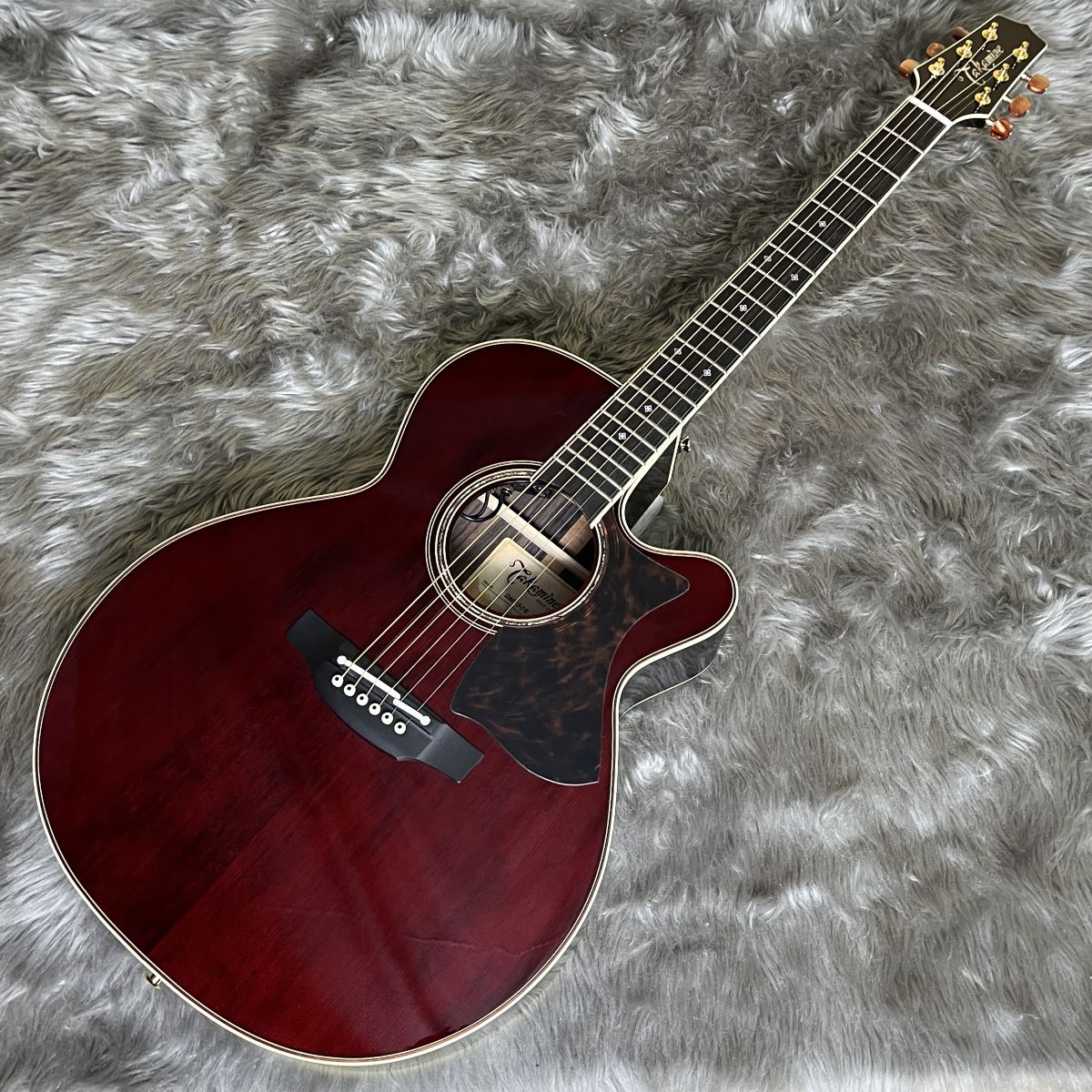 アコースティックギターTakamine DMP50S