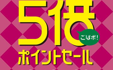 5バポがやってくる！オススメアコギのご紹介します！