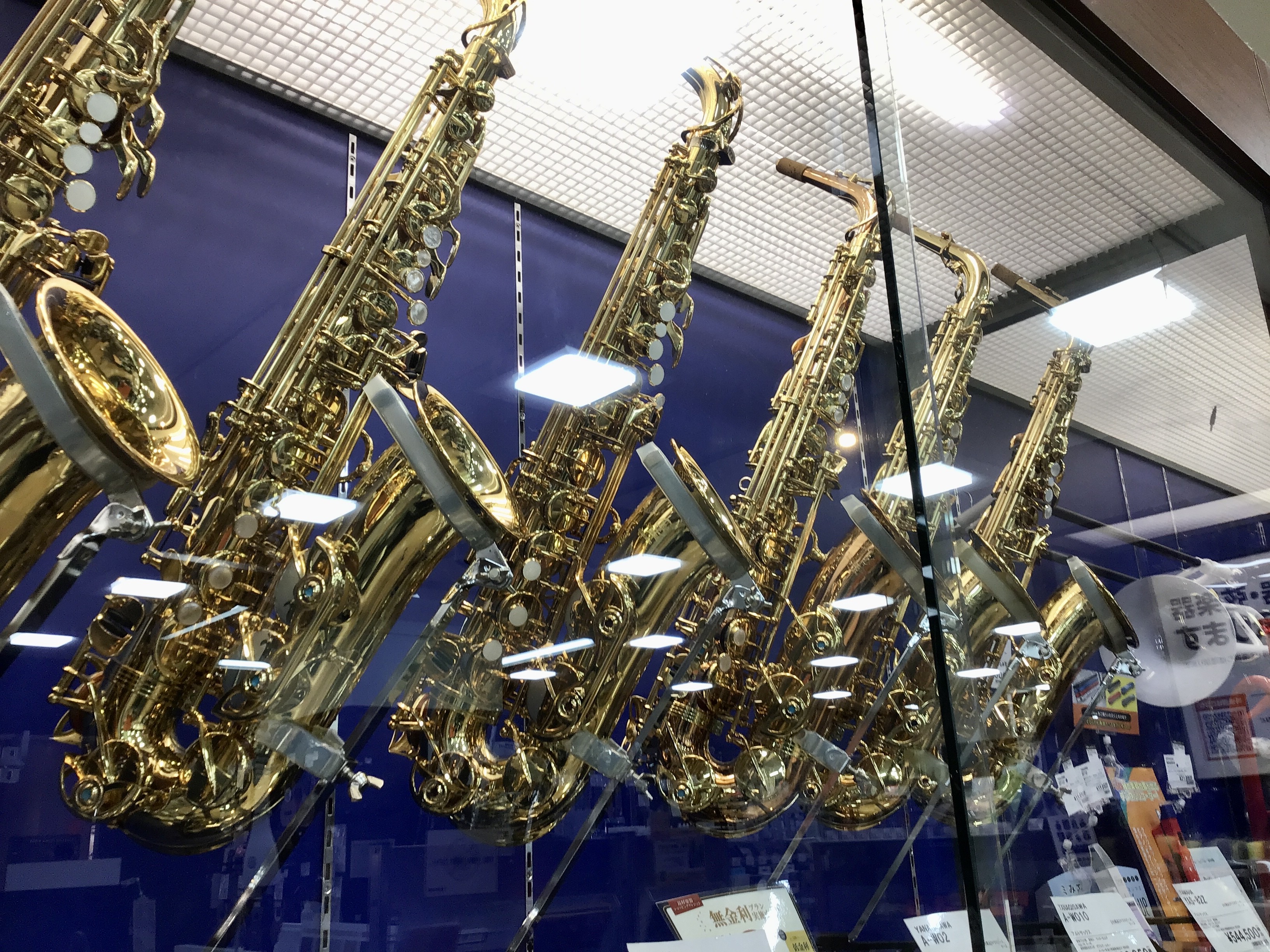 安田（やすだ）