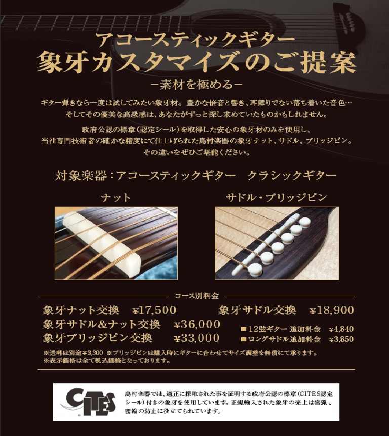 象牙カスタマイズキャンペーン開催中 札幌パルコ店 店舗情報 島村楽器