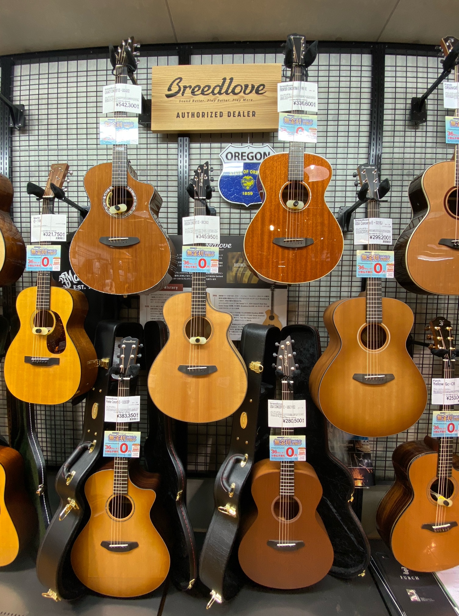 Breedloveアコースティックギター大変お買い得です！2022年10月28日~