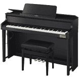 CASIOGP-1000
