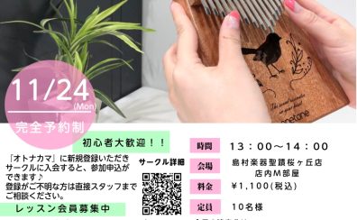 せいせき☆カリンバサークル参加者募集中！！