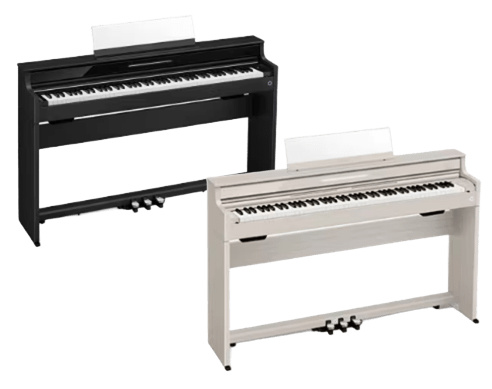 CASIO　AP-S5000GP　¥181,500(税込)