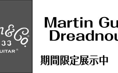 【点検会/フェア】Martin点検会＆ギターフェアを開催いたします！