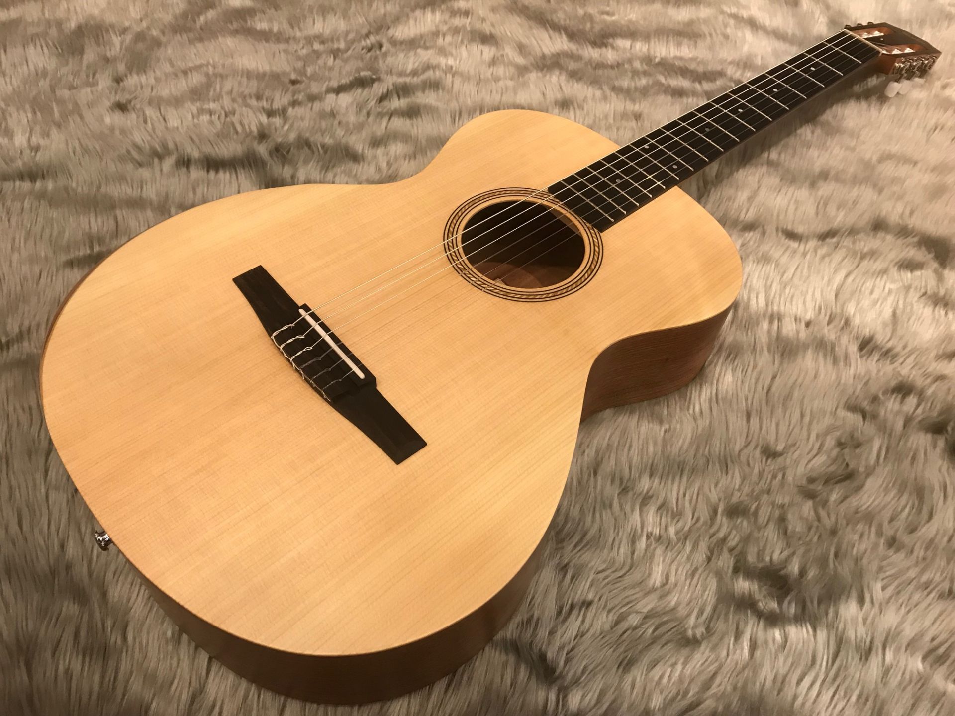 Academy 12e-Nylon - Taylor