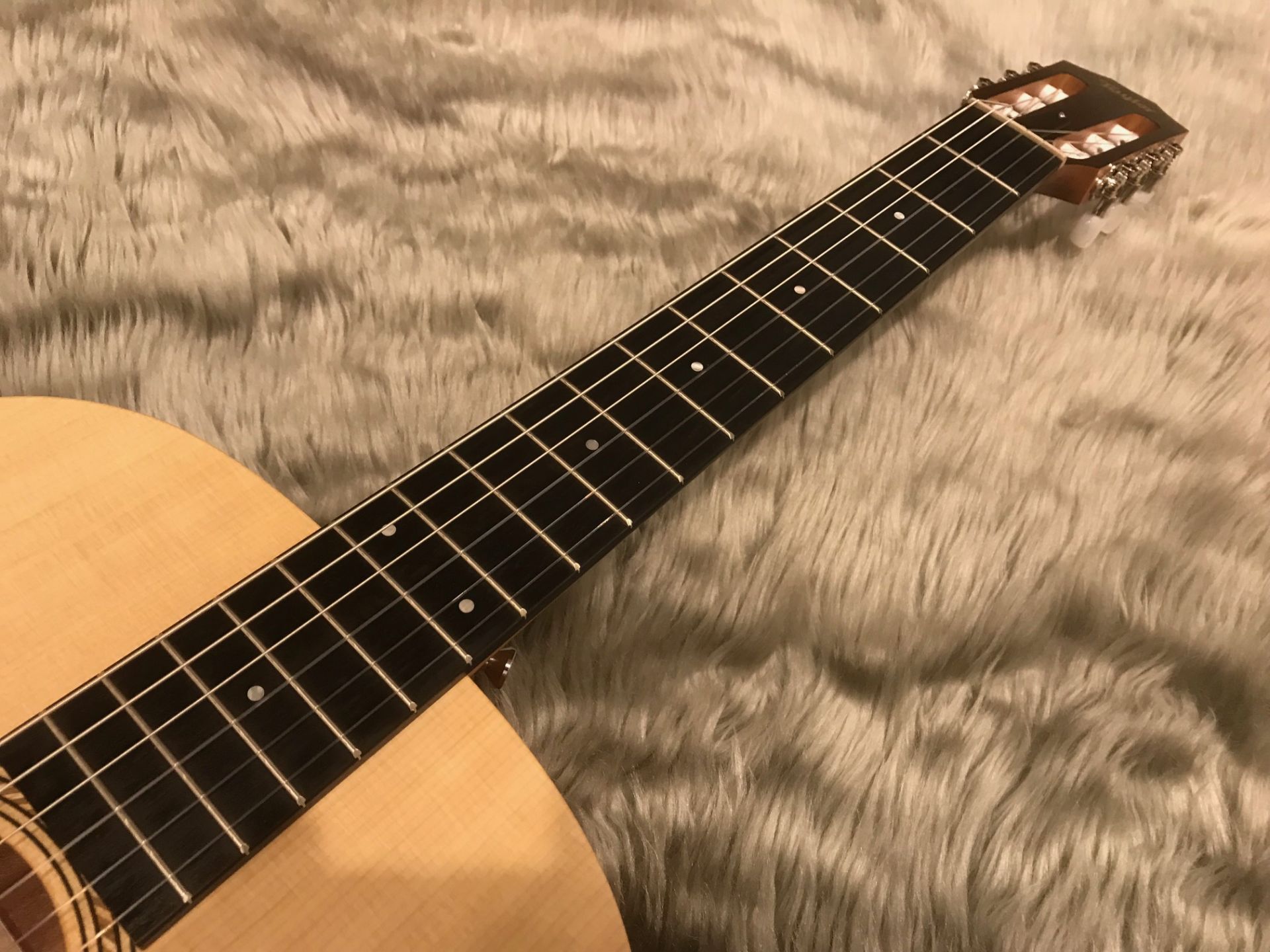 Academy 12e-Nylon - Taylor