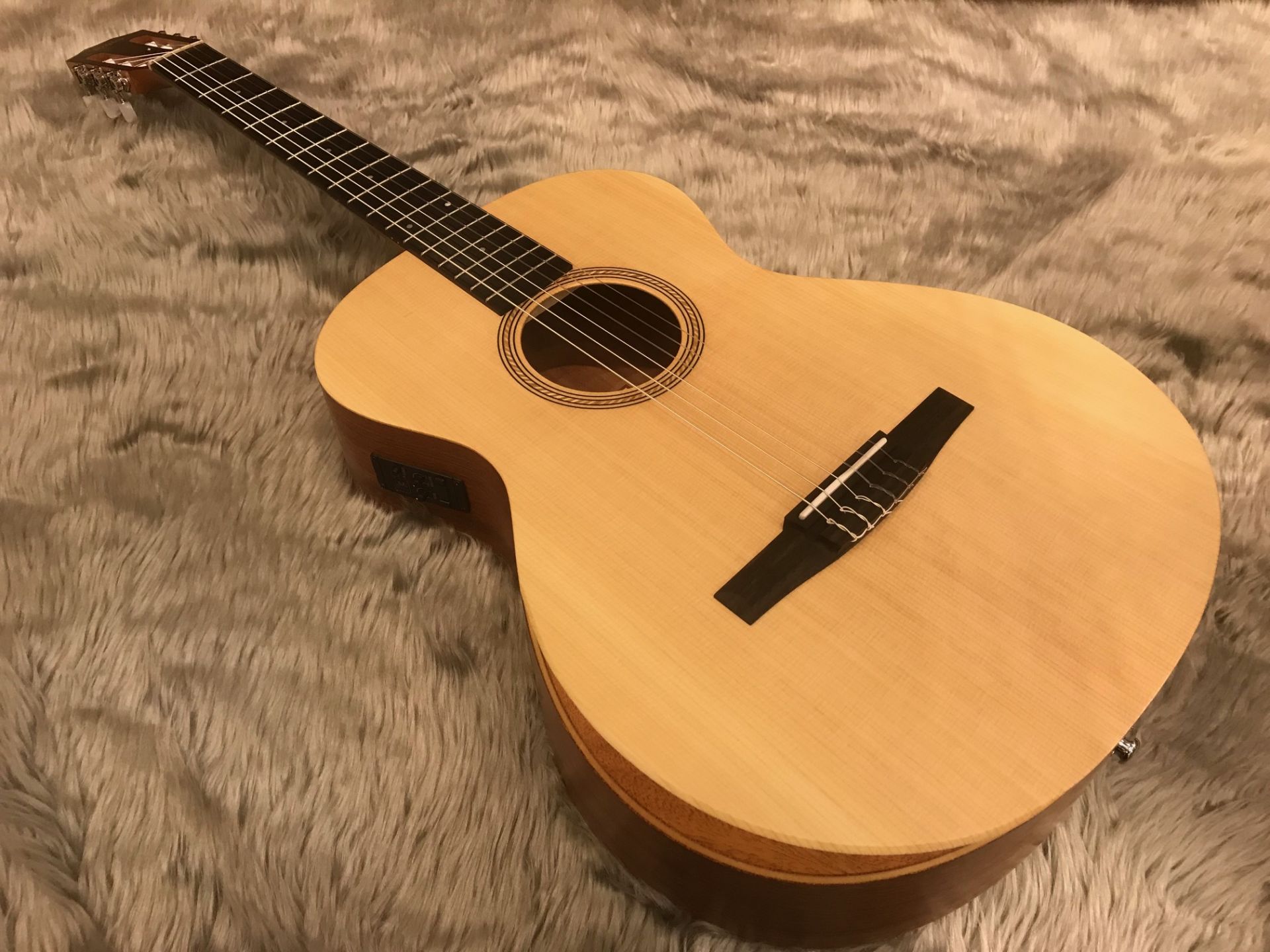 Academy 12e-Nylon - Taylor