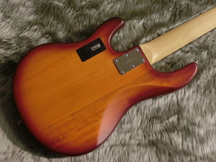 RAY5/R - Sterling by MUSIC MAN