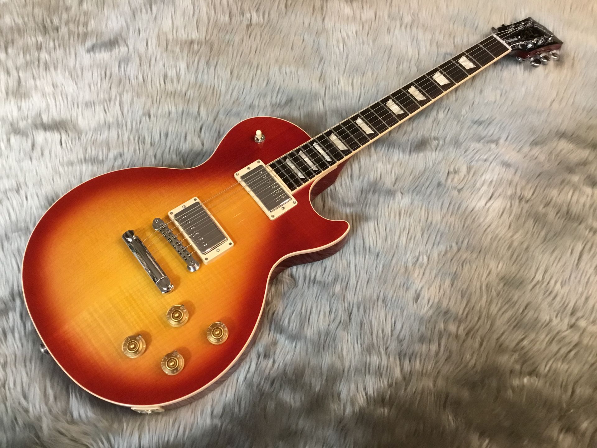 LP Traditional PLUS