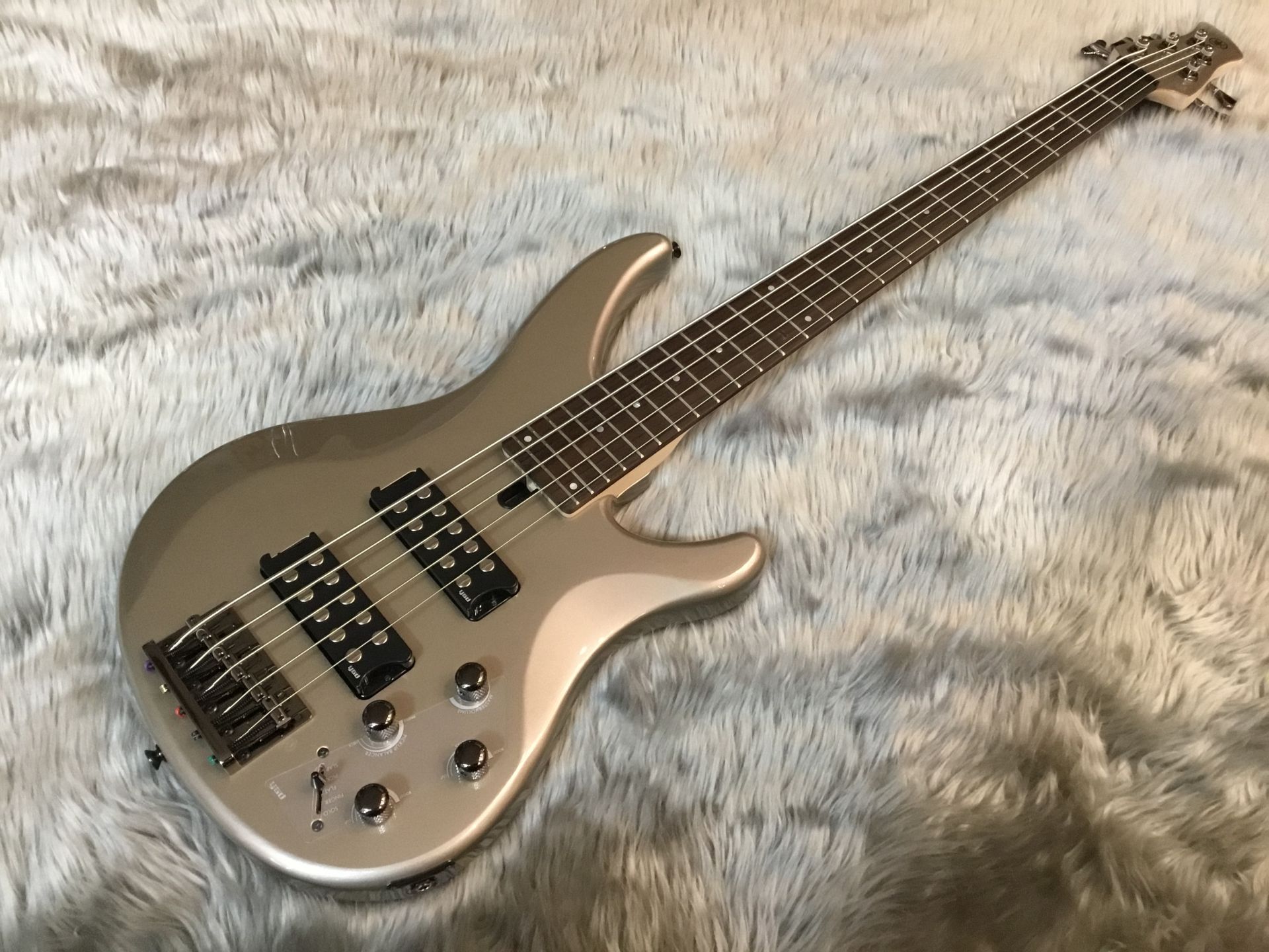 TRBX305